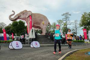 BIB: 
                            <button type="button" onclick="openModal(26529011)" class="btn btn-primary btn-sm float-right btn-popup" data-toggle="modal" data-target=".modal-high-quality">
                        <i class="fas fa-shopping-cart"></i> Add to Cart
                    </button>
                                            <button type="button" onclick="isThisMe(26529011, true)" class="btn btn-success btn-sm float-right btn-popup btn-isme hidden" data-toggle="tooltip" data-placement="bottom" title="นี่คือรูปของคุณใช่ไหม คลิกที่นี่เพื่อเอาเข้าอัลบั้ม">
                        <i class="fas fa-plus"></i> Add to album
                    </button>
                    <button type="button" onclick="isThisMe(26529011, false)" class="btn btn-warning btn-sm float-right btn-popup btn-isnotme hidden">
                        <i class="fas fa-ban"></i> Remove from album
                    </button>